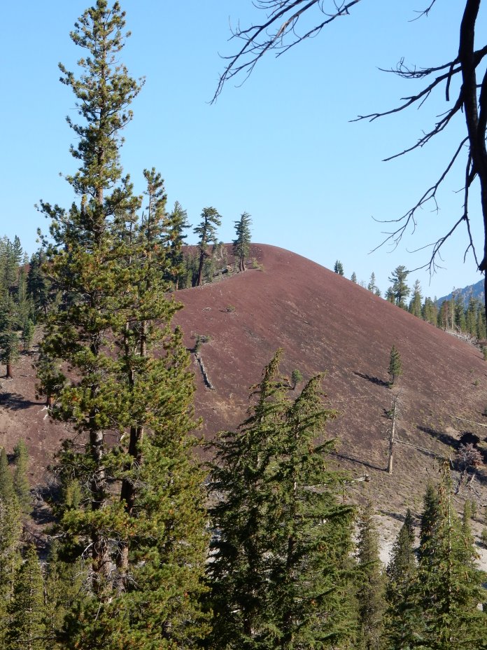 The Red Cones are basalt cinder cones, with well-preserved summit craters, created in the most recent volcanic event in the area.